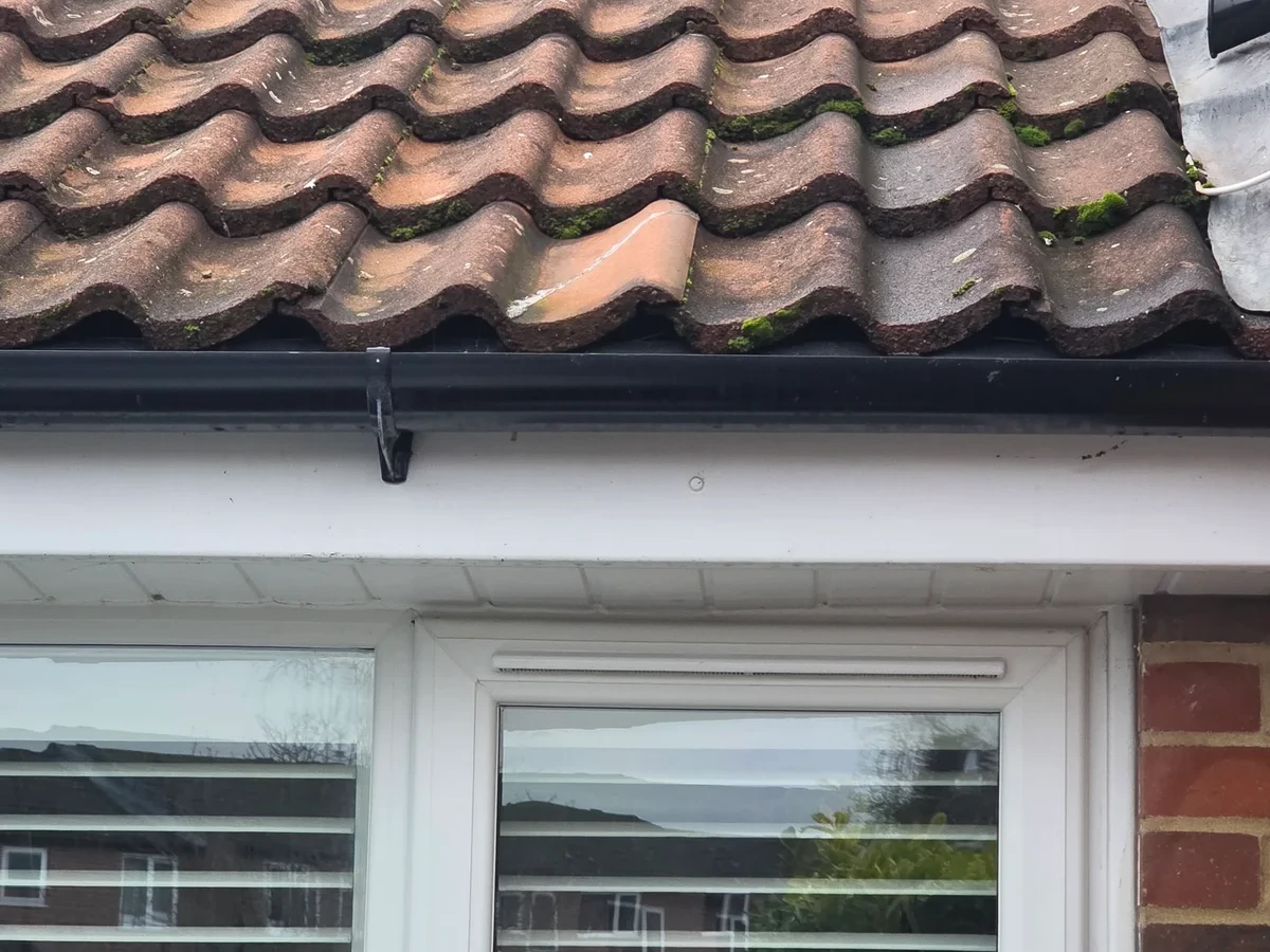 Tiled roof edge with gutter above a window