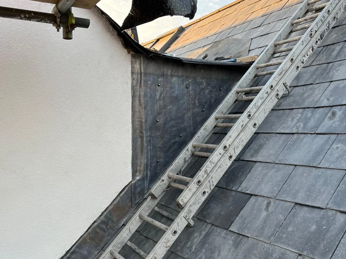 Access ladder beside roof flashing and a wall junction