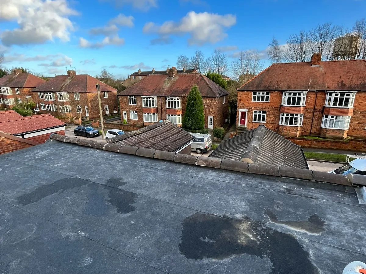 Flat roof surface above a rear extension
